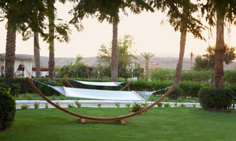 JAZ Elite Palace Adults Only 16+(ex. Iberotel Palace)