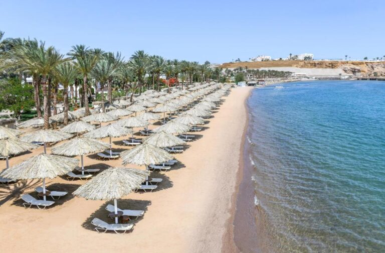 JAZ Elite Palace Adults Only 16+(ex. Iberotel Palace)