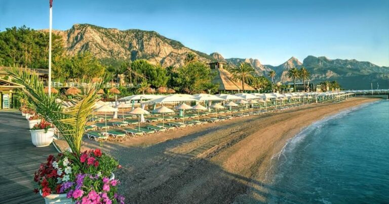 Gypsophila Club Marine