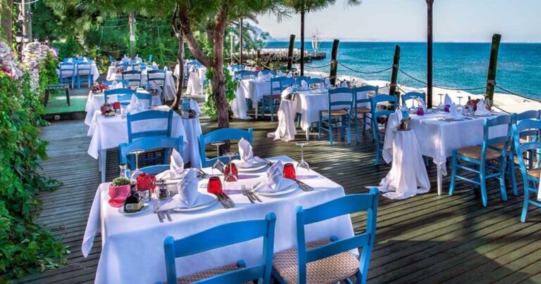Gypsophila Club Marine