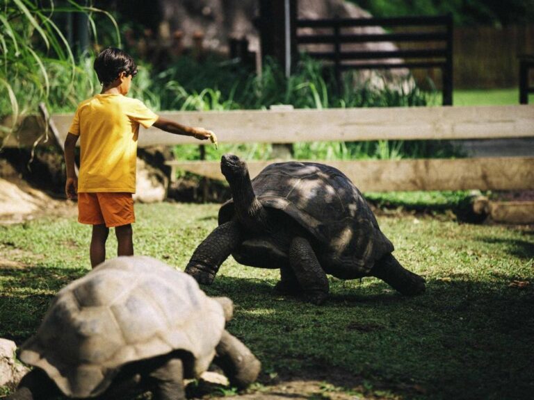 Raffles Seychelles