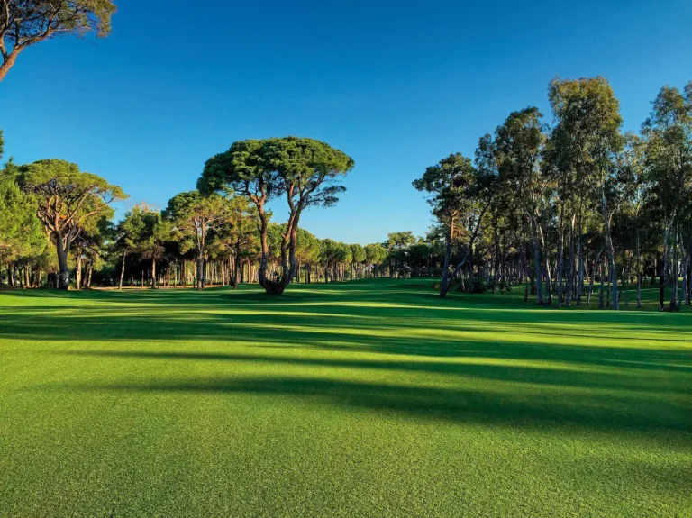 Kaya Palazzo Golf Resort