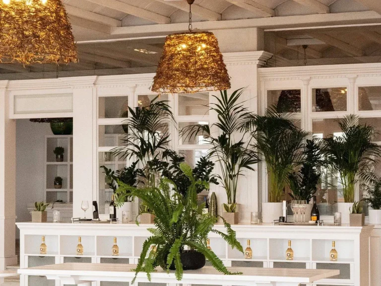 Grecotel Mykonos Blu