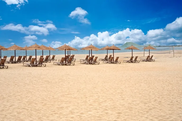 Melia Tortuga Beach