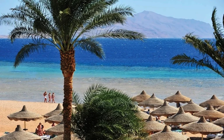Baron Palms Resort