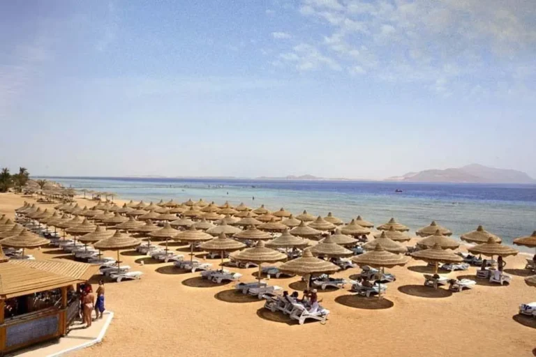 Baron Palms Resort