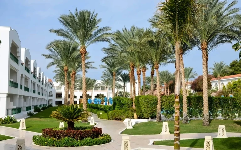 Baron Palms Resort