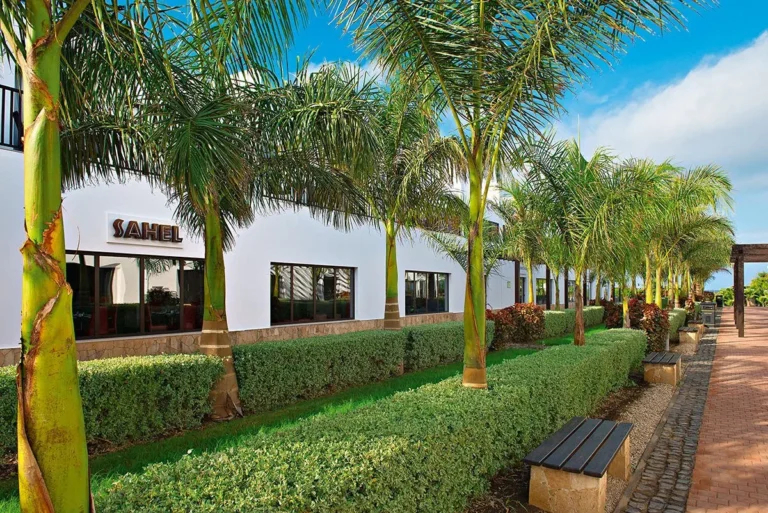 Melia Dunas Beach Resort & SPA