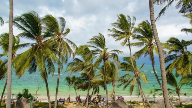 Sarova Whitesands Beach Resort & SPA